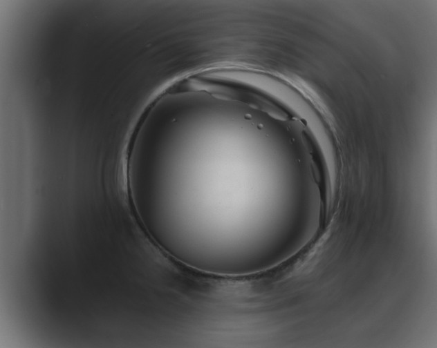 X0000089661238200706281315