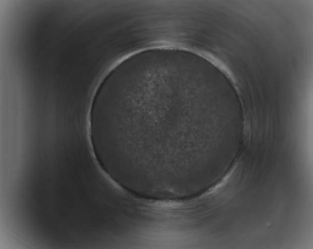X0000089661239200706281315