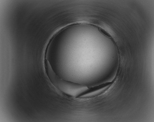 X0000089661240200706281315