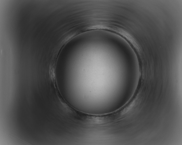 X0000089661241200706281315