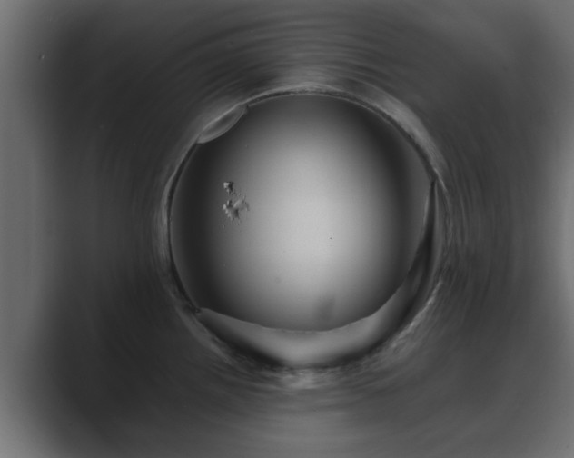 X0000089661242200706281315