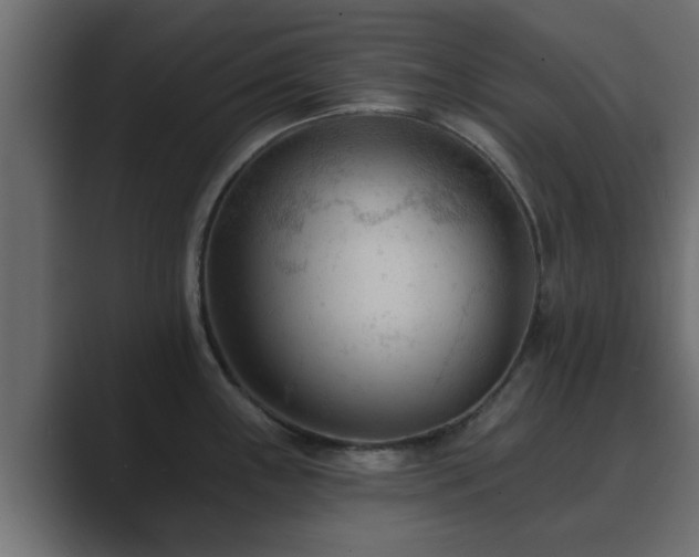 X0000089661243200706281315