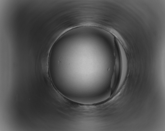 X0000089661244200706281315