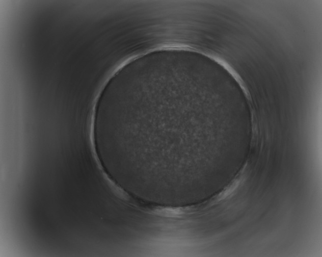 X0000089661245200706281315