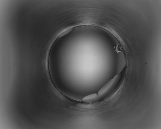 X0000089661246200706281315