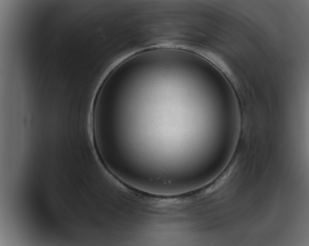 X0000089661247200706281315