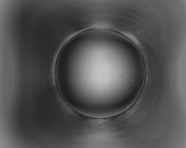 X0000089661248200706281315
