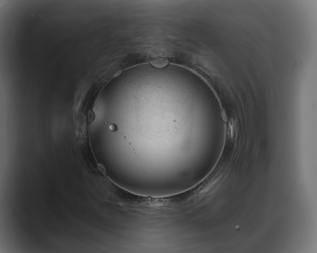 X0000089661251200706281315