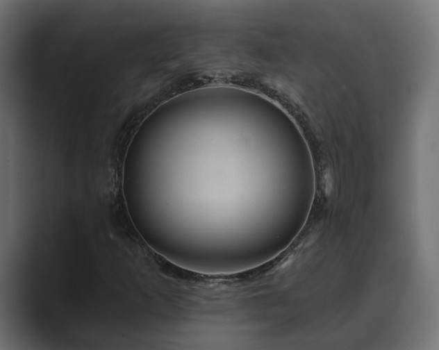 X0000089661253200706281315