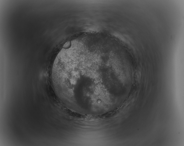 X0000089661254200706281315