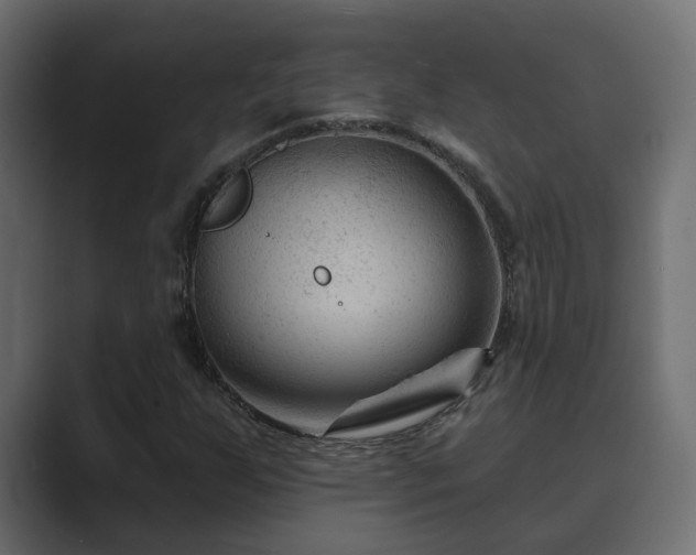 X0000089661255200706281315