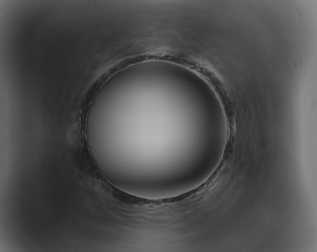 X0000089661256200706281315