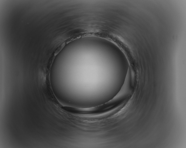 X0000089661257200706281315