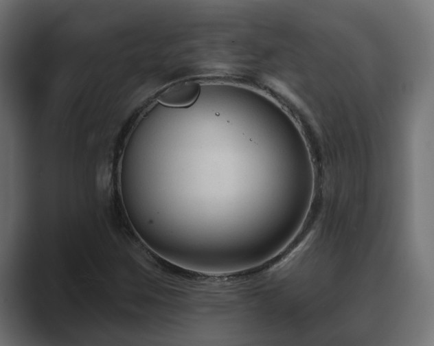 X0000089661259200706281315