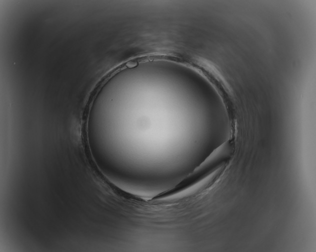 X0000089661260200706281315