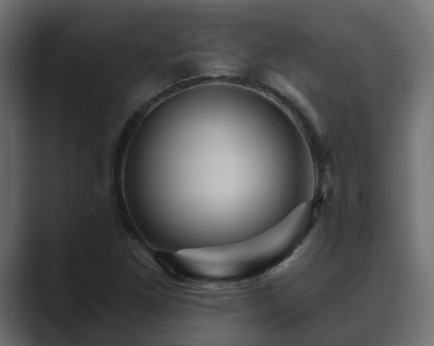 X0000089661261200706281315