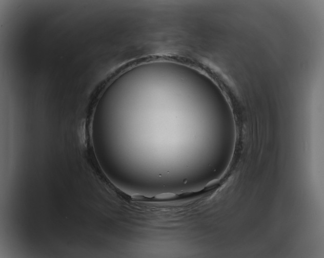 X0000089661262200706281315