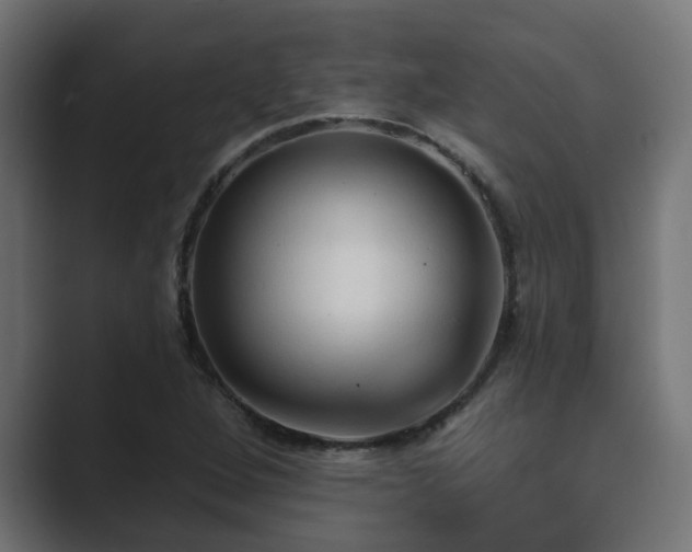 X0000089661264200706281315