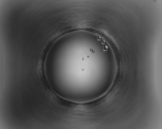 X0000089661265200706281315