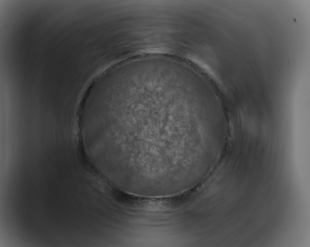 X0000089661266200706281315