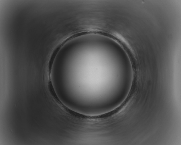 X0000089661269200706281315