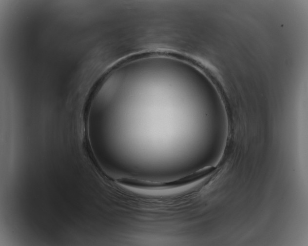 X0000089661271200706281315