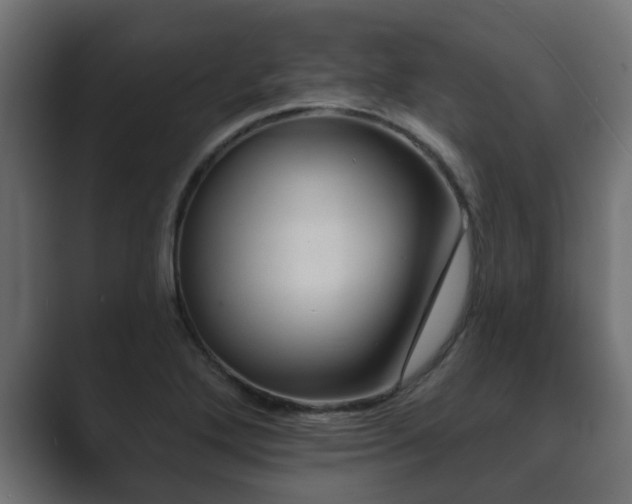 X0000089661272200706281315