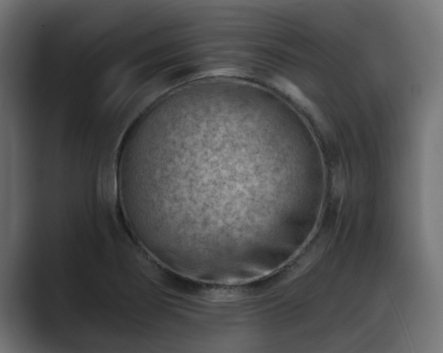 X0000089661274200706281315