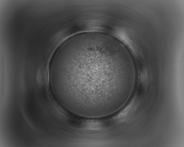 X0000089661275200706281315