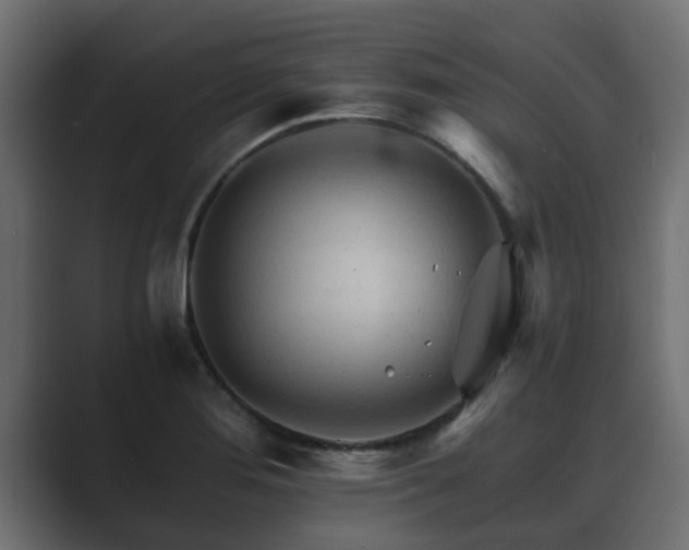 X0000089661276200706281315