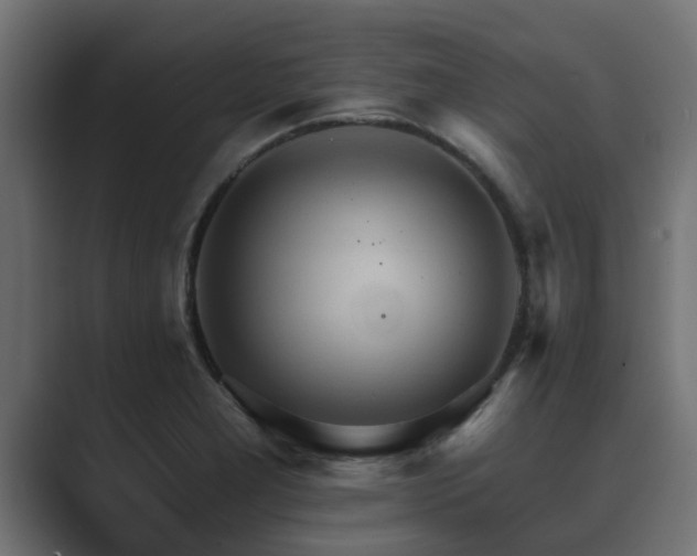 X0000089661277200706281315