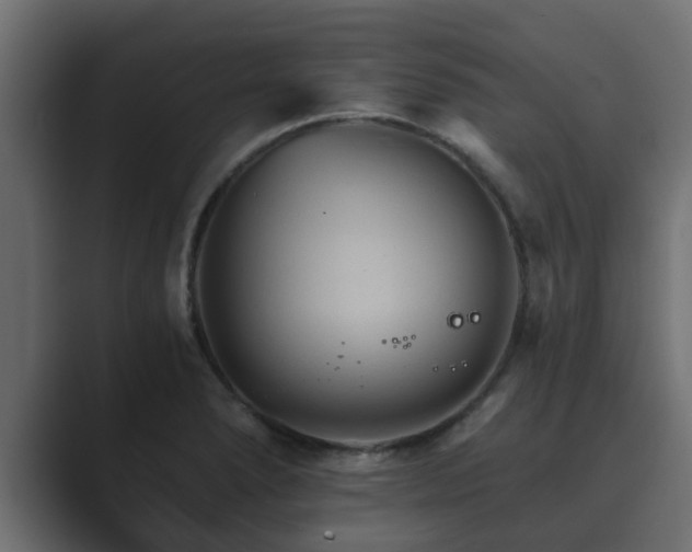X0000089661278200706281315