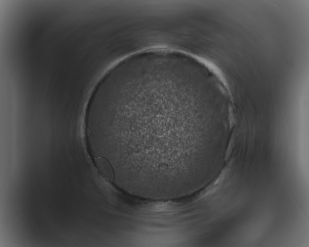 X0000089661279200706281315