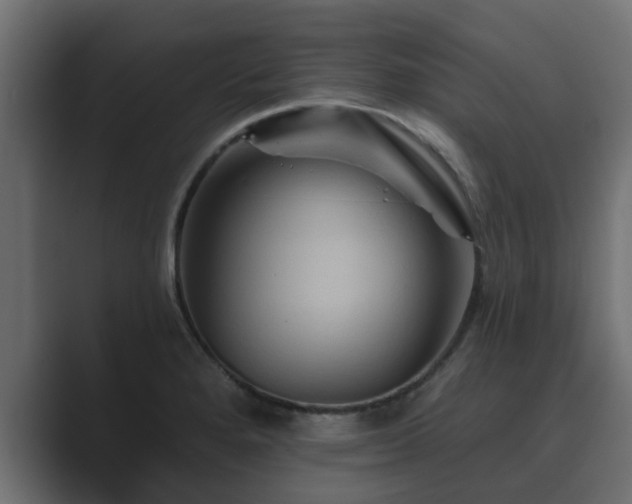 X0000089661280200706281315