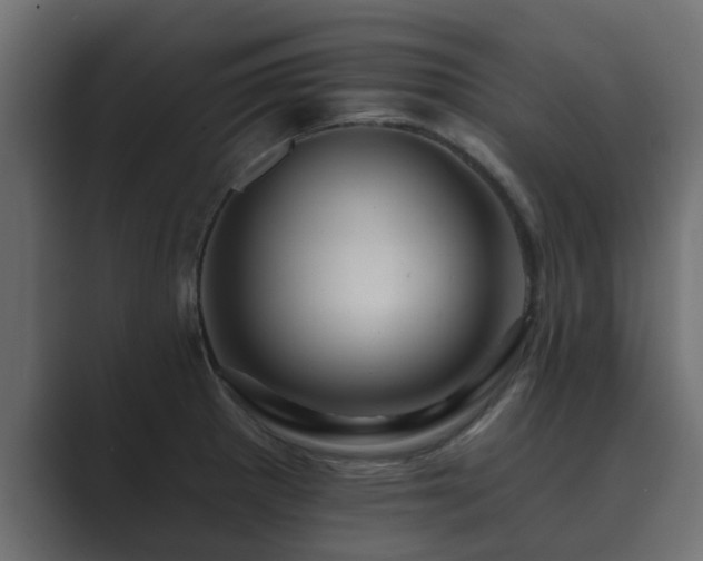 X0000089661281200706281315