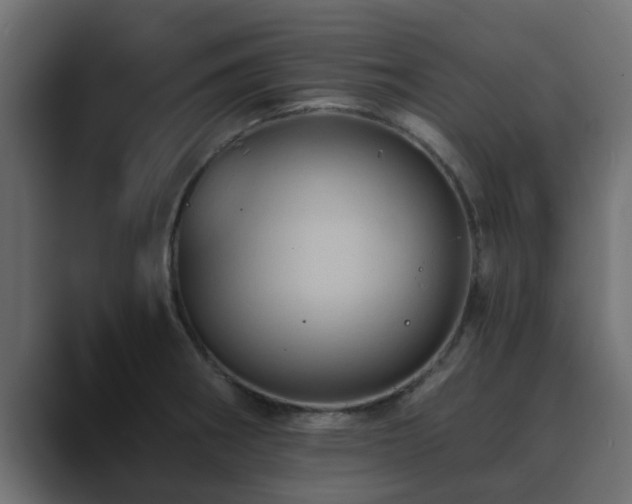X0000089661282200706281315