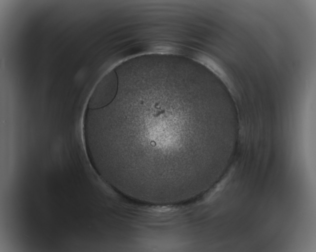 X0000089661283200706281314