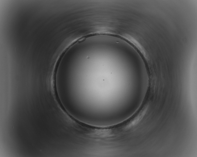 X0000089661285200706281314