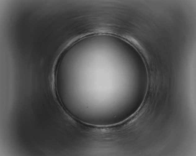 X0000089661286200706281314