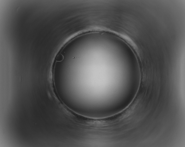 X0000089661287200706281314