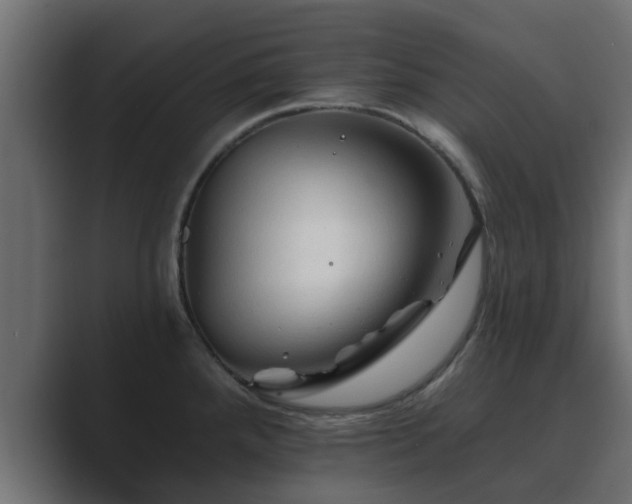 X0000089661288200706281314