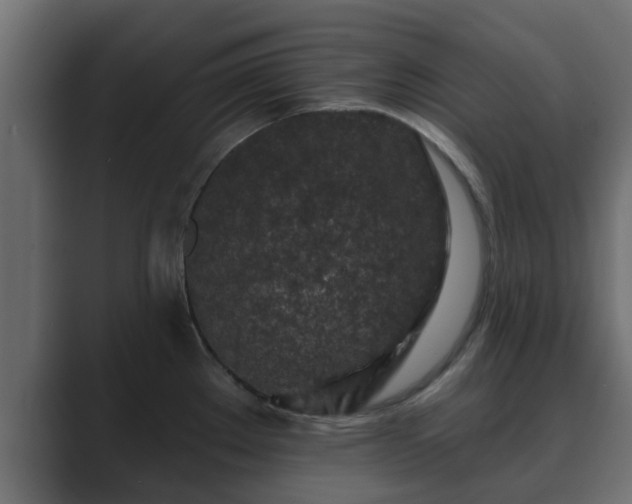 X0000089661289200706281314