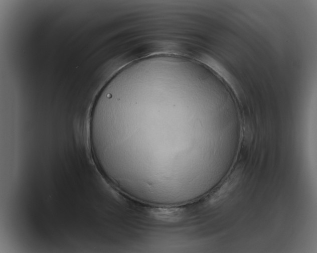 X0000089661290200706281314