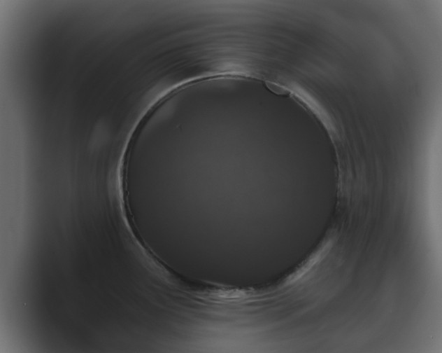 X0000089661291200706281314