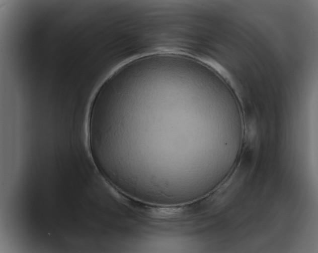 X0000089661294200706281314