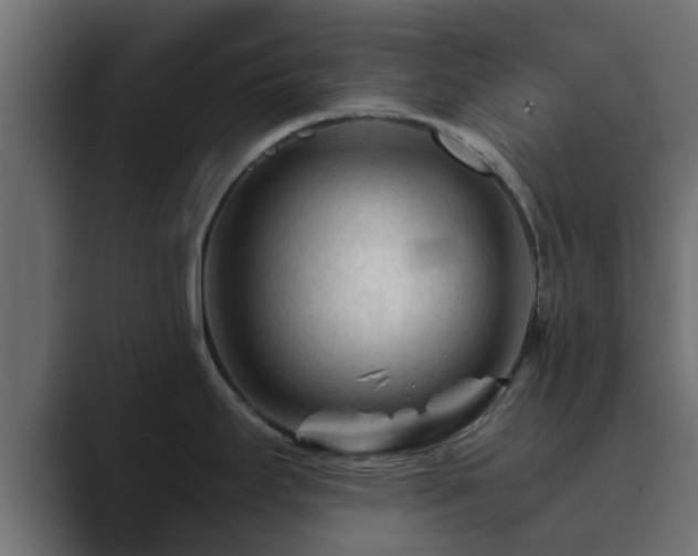 X0000089661295200706281314