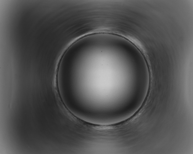 X0000089661296200706281314