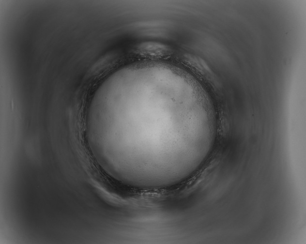 X0000089661297200706281314