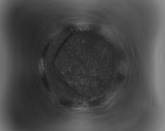 X0000089661298200706281314