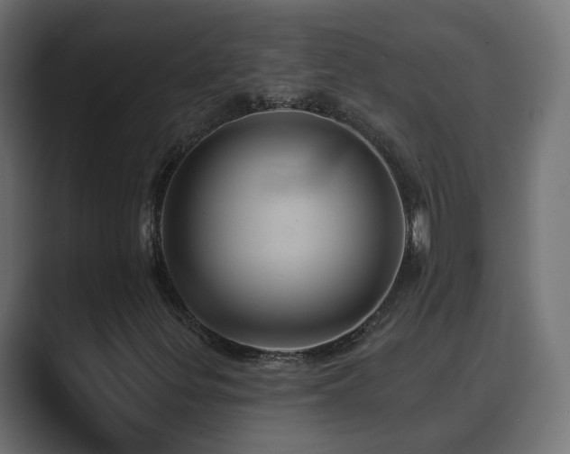 X0000089661299200706281314